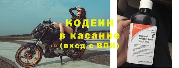 эйфоретик Аркадак