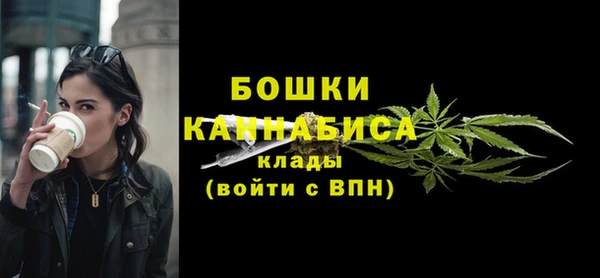 ALPHA-PVP Каменка