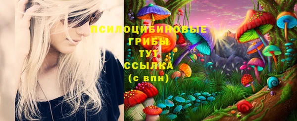 твердый Армянск