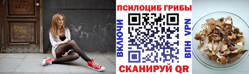 Псилоцибиновые грибы MAGIC MUSHROOMS  omg как войти  Калачинск 